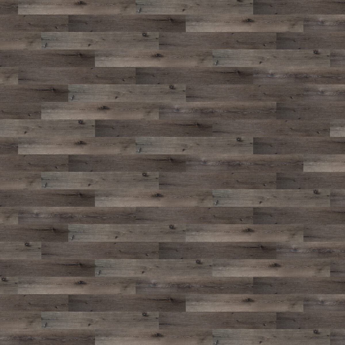 Grey Walnut - Image 2