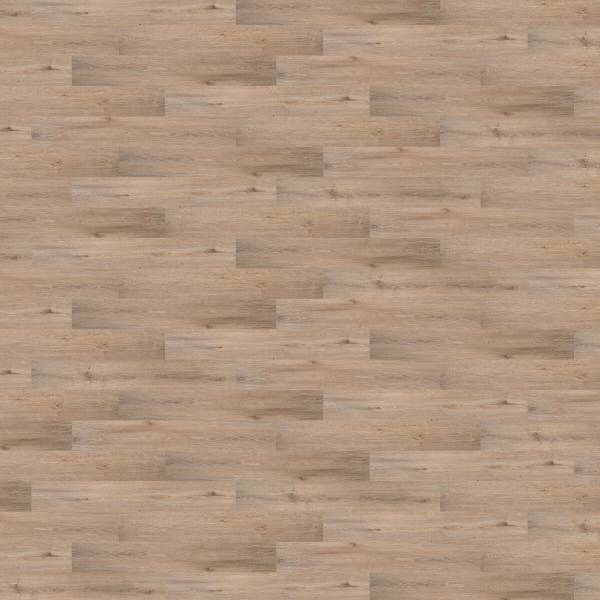 Rustic Beach - Image 2