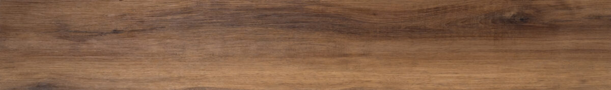 Brazilian Almond - Image 3